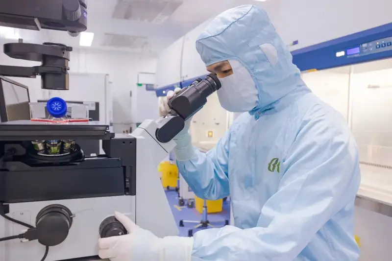 Um técnico da Beike, com fato de sala limpa estéril, examina células-tronco cultivadas ao microscópio