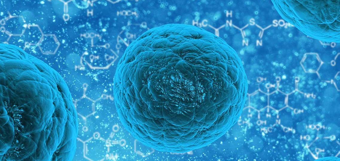 Celulas Tronco Adultas